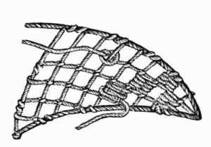 No. 21