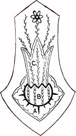 PATTERN OF EACH OF THE FOUR SIDES OF SCRAP-BAG
