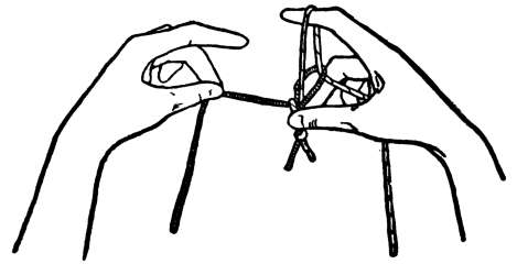 Fig. 154