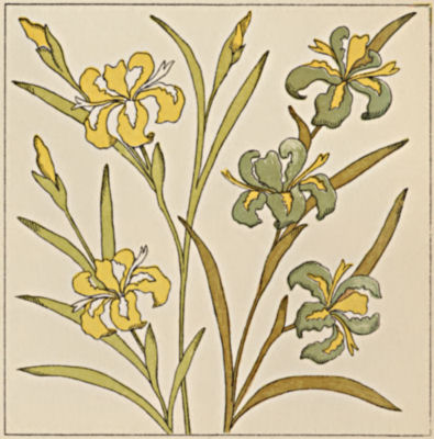 Floral design from the Handbook of Embroidery