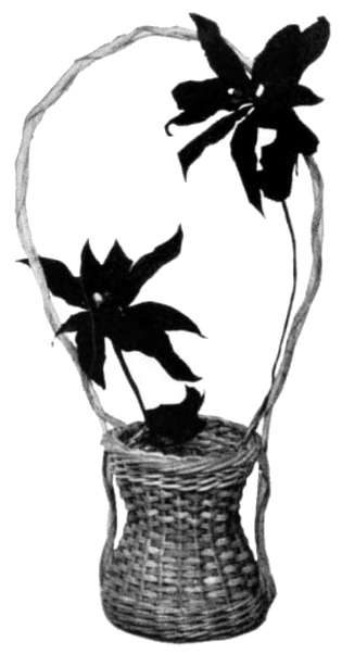Vintage illustration