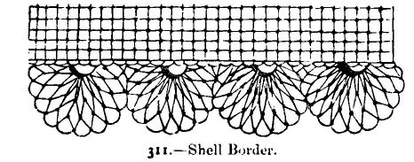 Shell Border