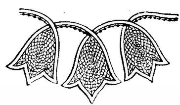BRUSSELS LACE