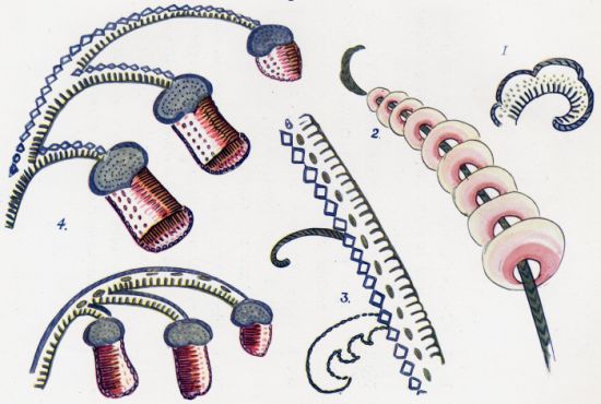 Vintage illustration