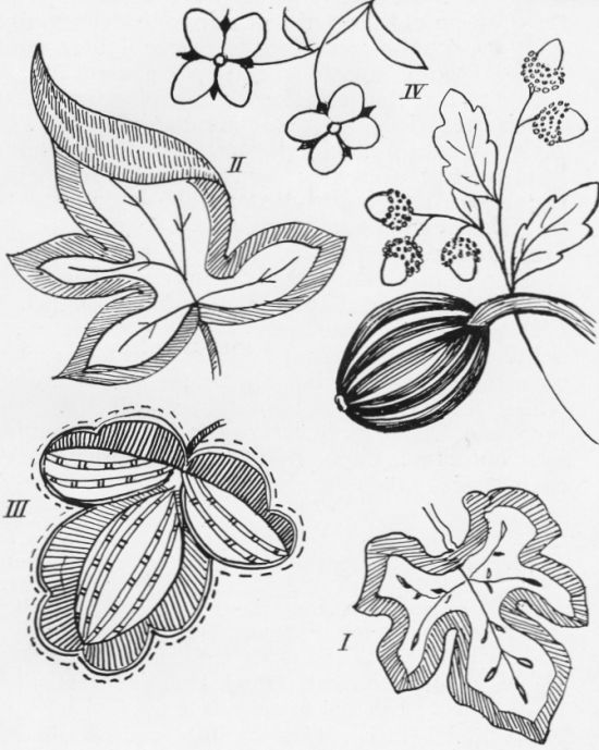 Vintage illustration