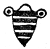 Vintage illustration