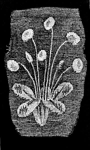 Fig. 168